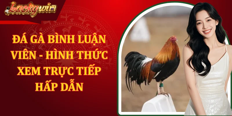 Đá Gà Bình Luận Viên - Hình Thức Xem Trực Tiếp Hấp Dẫn